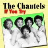 The Chantels - If You Try