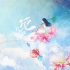 月晰 - 花 (带和声)(伴奏)