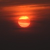 Buco - Sun