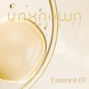 Unknown Reality - Essence