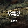 Rain Sounds & Rain For Deep Sleep - Birds & Rain