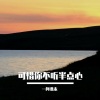 酒禾. - 可惜你不听半点心