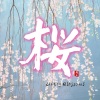 贾鹏芳、渡辺俊幸 - 樱花
