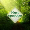 Естественная звуковая терапия - Шум воды