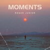 Roger Junior - Moments