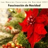 Las Mejores Canciones de Navidad 2021《La Primera Navidad: Mix》[MP3/LRC]