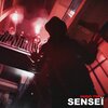 Hugo TSR - Senseï
