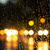 Ruidos de la Selva、Sonido de lluvia、Relax total - Repiqueo De La Lluvia