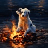 Deep Sleep Brown Noise、The White Noise Zen & Meditation Sound Lab、White Noise Baby - Melodic Bonfire Pets' Tune