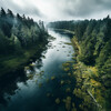 Easy Sunday Morning Music、Nature Music Nature Songs、Relaxing Study Music Background Music - Water Sounds Learning Focus