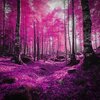 ХИМИЯ - Сентябрь горит