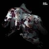 DECIDUOUS - Faded Memories