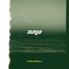 Mimosa - Côte d'Azur