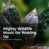 Nature Rain Relaxation、Rain Recorders、Rainfall - Natural Earthy Rain