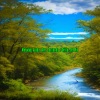 Sonidos De Aves、SONIDOS BLANCOS、Sonidos del Bosque - Armonías Aladas Aves Cantando y el Río Fluyendo en Perfecta Unión