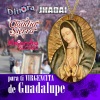 Claudia Sierra - Urge (Balada)