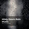 Rain Sounds Sleep、Rain Spa、Rain Sounds for Relaxation - Night-Night Rainfall