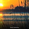 Ocean Waves、ohm waves、Calm Ocean Sounds - Breath of the Ocean