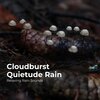 Relaxing Rain Sounds、Rain for Sleep、Rain Drops for Sleep - Serene Yoga in Rain