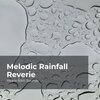 Heavy Rain Sounds、Rain Shower Spa、Lullaby Rain - Aggressive Rainstorm