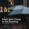 Deep Sleep Rain Sounds、Rain Meditations、Rain Sounds Collection - Rain Showers in the Dark