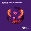 Adam De Smidt、Terrasoul - Labyrinth