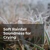 Heavy Rain Sounds、Rain Shower Spa、Lullaby Rain - Unceasing Rainstorm