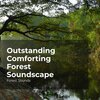 Forest Sounds、Ambient Forest、Rainforest Sounds - Woods Ambient Medley