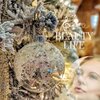 Dina - Beauty of Life