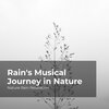 Nature Rain Relaxation、Rain Recorders、Rainfall - Hasty Flowing River
