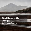 Jungle Rain、Nature and Rain、Deep Rain Sampling - Rainfall Songbirds