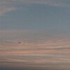 Jude Todd、Julien Todd、Florent Klein、Jean Charles Battistella - malibu (stripped)