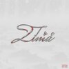 TOC、Pekbeats、Yura - Zima (feat. Yura & Pekbeats)