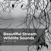 Sleep Sounds of Nature、Nature Sounds Nature Music、Nature Sounds - Tropical Wilderness