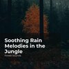 Forest Sounds、Ambient Forest、Rainforest Sounds - Hush Tranquil Forest
