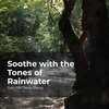 Rain for Deep Sleep、Ambient Rain、Gentle Rain Makers - Tranquil Sleep in Rain
