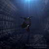 Pascal Cherouny - The Skies of Berneray