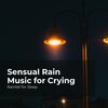 Rainfall For Sleep、Rain Shower、Rain Man Sounds - Pleasant Evening Rain