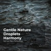 Nature Rain Relaxation、Rain Recorders、Rainfall《Nature Rainfall Spa》[MP3/LRC]