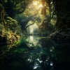 Jim Garden、Aquaplasma、Relaxing Orgel - Spring's Soft Sonata