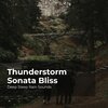 Deep Sleep Rain Sounds、Rain Meditations、Rain Sounds Collection - Asleep in Fall of Rain