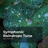 Natural Rain Sounds for Sleeping、Rain Storm Sample Library、Rain Sounds - Sweet Rain Melody