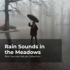 Rain Sounds Nature Collection、ASMR Rain Sounds、Sleepy Rain《Fast Flowing River》[MP3/LRC]