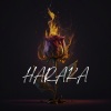 Wilin la esencia、Håvard Gimse - HARAKA