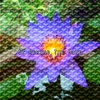 Zen Meditation and Natural White Noise and New Age Deep Massage - Zen Desires