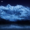 harmonium - Celestial Catnap