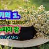 수피아 강 - 문밖에 있는 그대