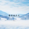 Kiiiu_ - 有你的冬天 (1.1X释怀版)