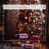 Natale Bianco、Christmas Carol: O Christmas Tree、Christmas Singles: Joy To The World、Christmas Special: Silent Night - Natale per sempre: Ding dong meravigliato in alto