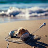 Supernatural Brainwave Power、Ocean Waves Sleep、Pet Music World - Ocean Pet Soothing Sounds